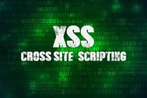 不用cookie 一个储存XSS对“某btc平台”攻城略地-XSS博客