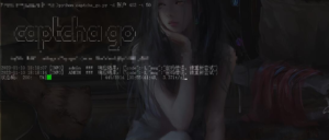 验证码识别爆破多线程Python版-XSS博客
