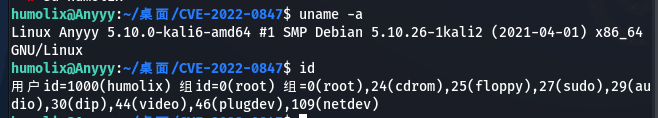 DirtyPipe-Linux内核提权漏洞 CVE-2022-0847