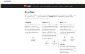 Linux安装部署Redis(超级详细)-XSS博客