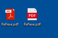 在普通 PDF 或 EXE 中嵌入恶意可执行文件