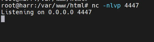 使用 xp_cmdshell 将基于时间的 SQL 注入升级为 RCE