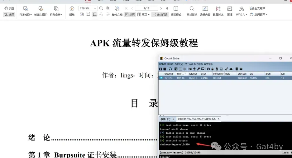 【红队战法】多角度钓鱼