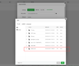 宝塔 新版Java 项目部署教程-XSS博客