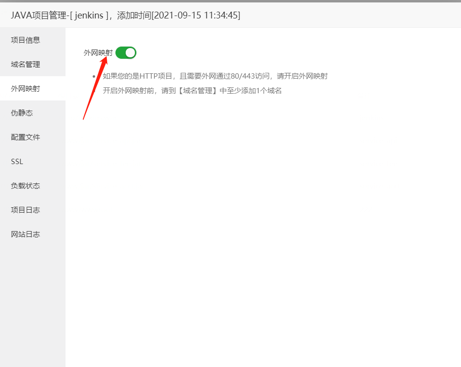 图片[7]-宝塔 新版Java 项目部署教程
