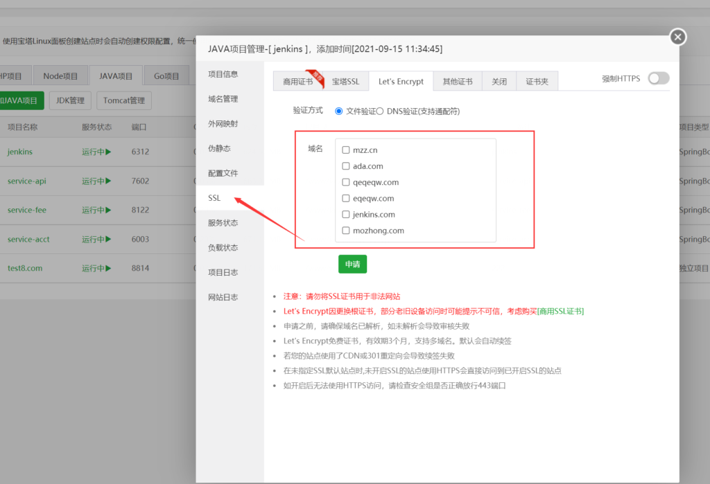 图片[33]-宝塔 新版Java 项目部署教程