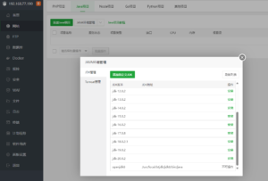 依靠堡塔面板，飞速部署Java项目-XSS博客