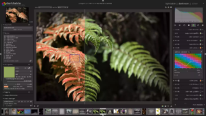 Darktable 非常棒的图片编辑软件！完全免费开源-XSS博客