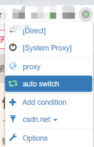 switchyomega+burp实现定向网站抓包 -XSS博客